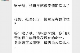 燕郊为什么选择专业追讨公司来处理您的债务纠纷？